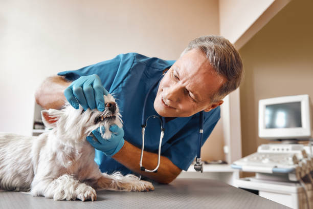  Moorestown Lenola, NJ Emergency Dentist Pros